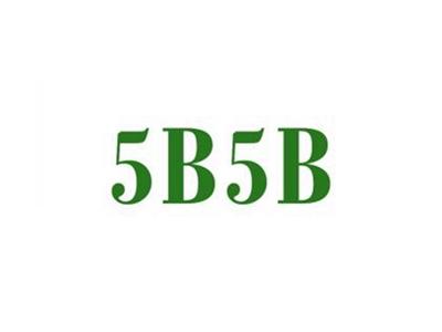 5B5B