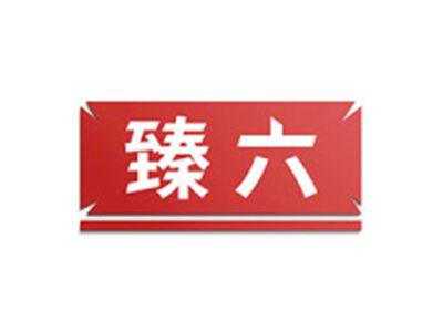 臻六