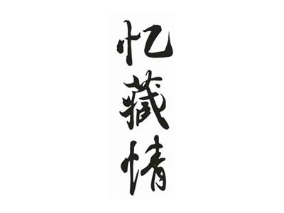忆藏情
