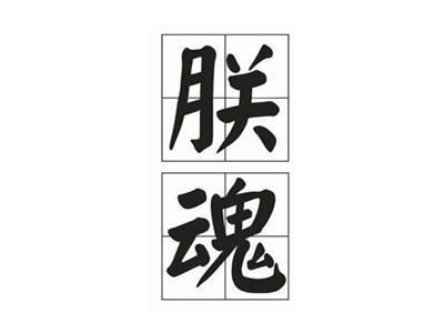 朕魂