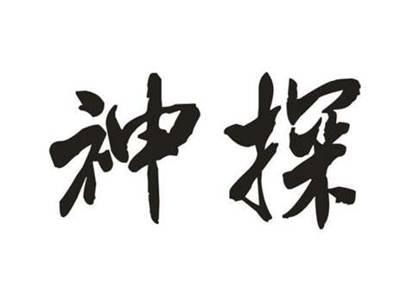 神探