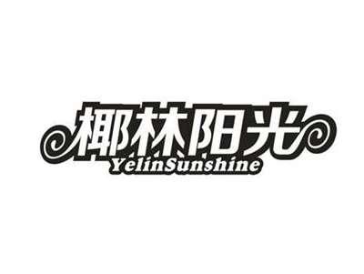 椰林阳光