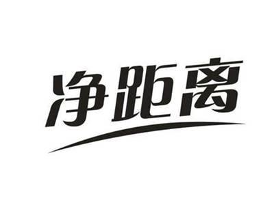 净距离