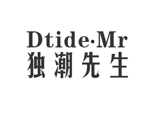 独潮先生DTIDEMR