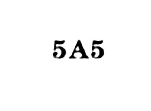 5A5