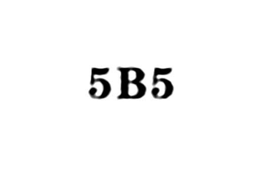 5B5