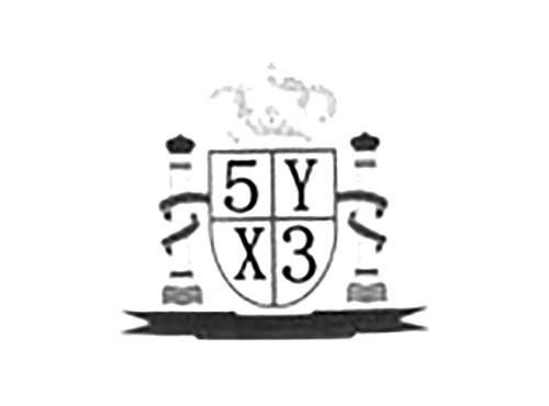 5YX3