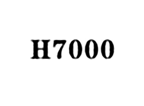H7000