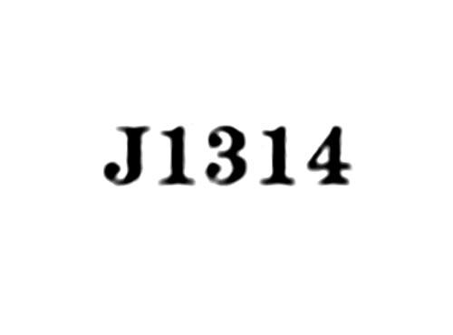 J1314