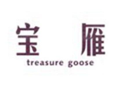 宝雁TREASUREGOOSE