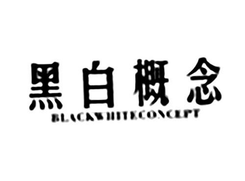 黑白概念BLACKWHITECONCEPT