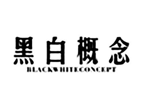 黑白概念BLACKWHITECONCEPT
