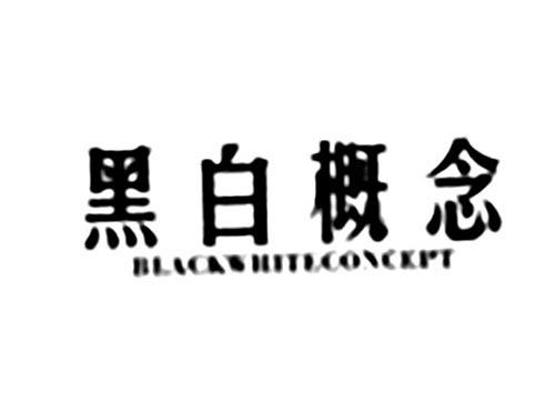 黑白概念BLACKWHITECONCEPT