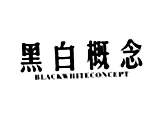 黑白概念BLACKWHITECONCEPT