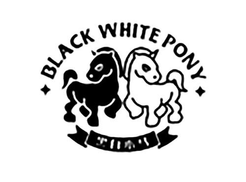 黑白小马BLACKWHITEPONY