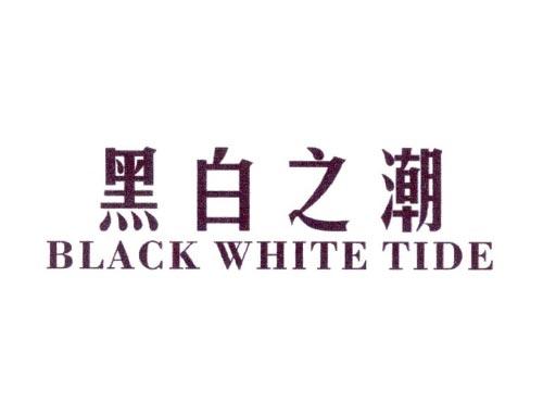 黑白之潮BLACKWHITETIDE