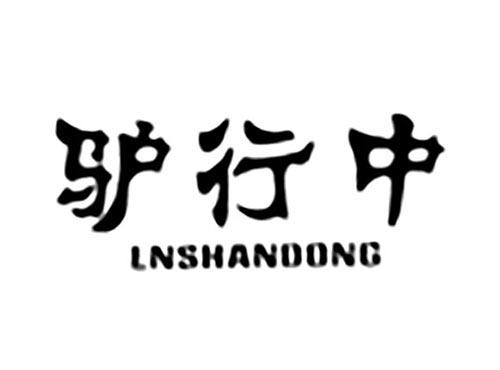 驴行中LNSHANDONG