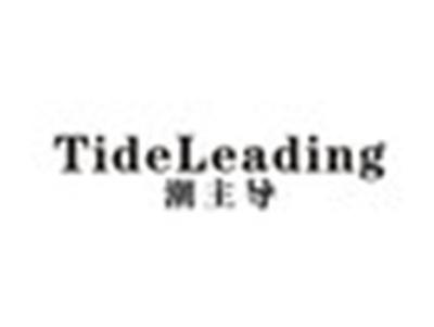 潮主导TIDELEADING