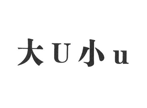 大U小U