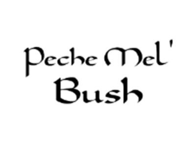 PECHEMEL'BUSH