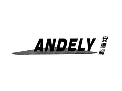 安德利ANDELY