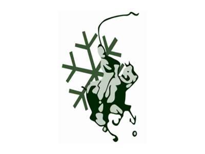 保罗图形