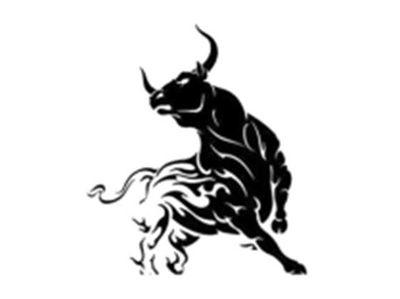 公牛图形