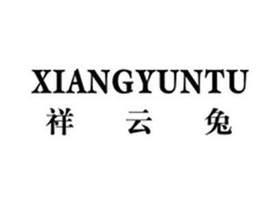 祥云兔