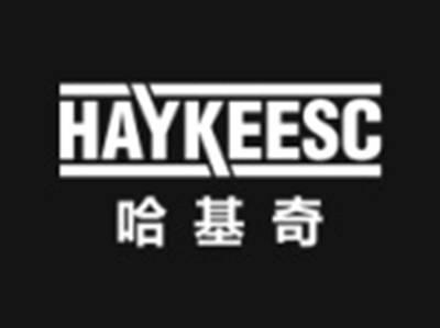 哈基奇HAYKEESC
