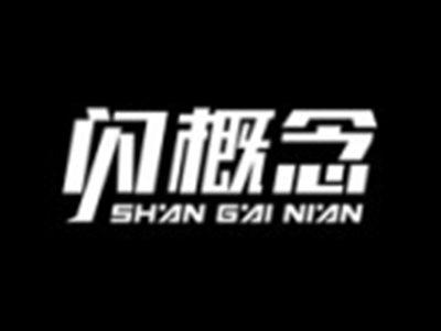 闪概念