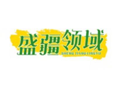 盛疆领域
