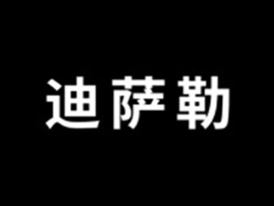 迪萨勒