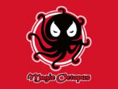 MAGICOCTOPUS