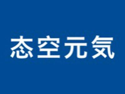 态空元