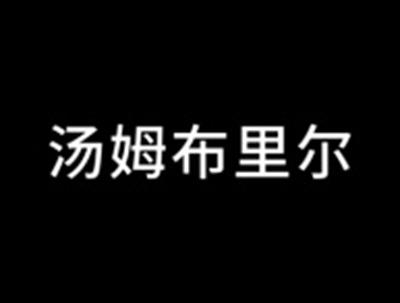 汤姆布里尔