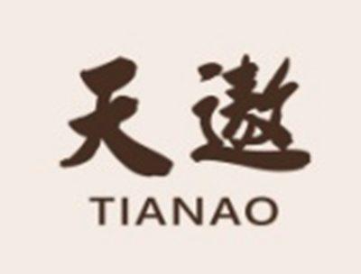 天遨TIANAO