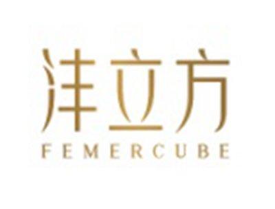 沣立方FEMERCUBE