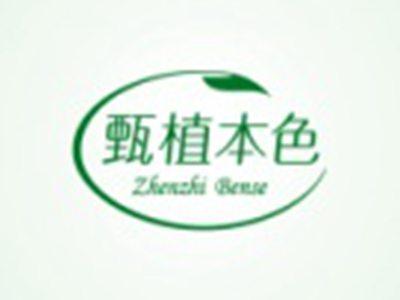 甄植本色