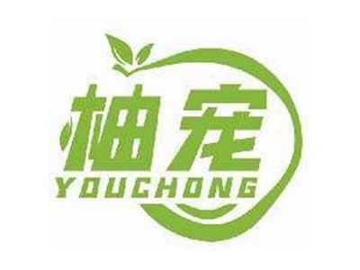 柚宠YOUCHONG