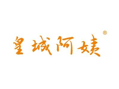 皇城阿姨