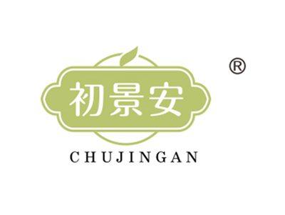 初景安
