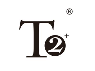 T2