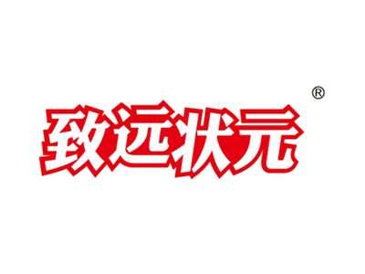 致远状元