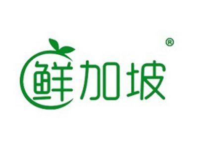鲜加坡