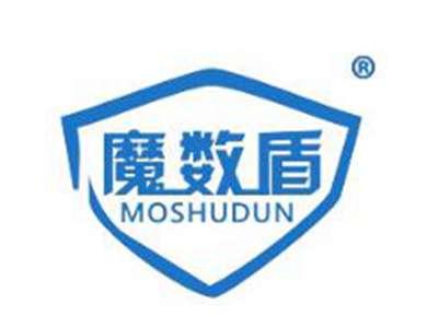魔数盾
