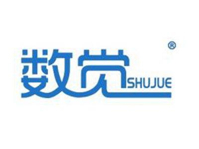数觉