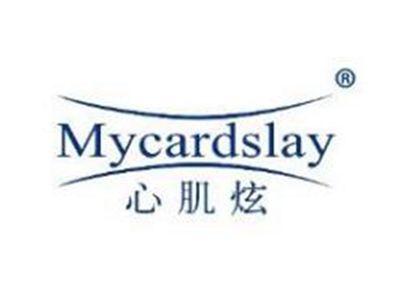 心肌炫MYCARDSLAY