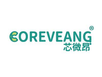 芯微昂COREVEANG