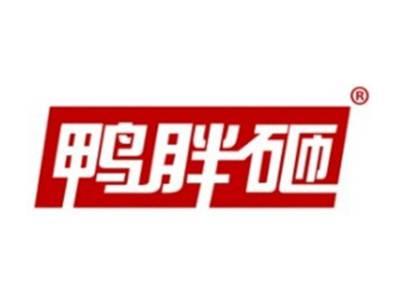 鸭胖砸