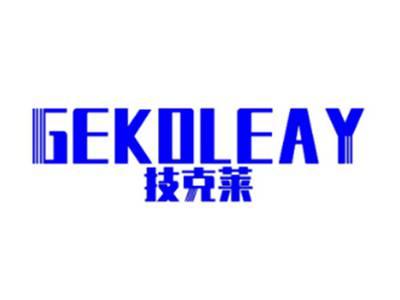 技克莱GEKOLEAY